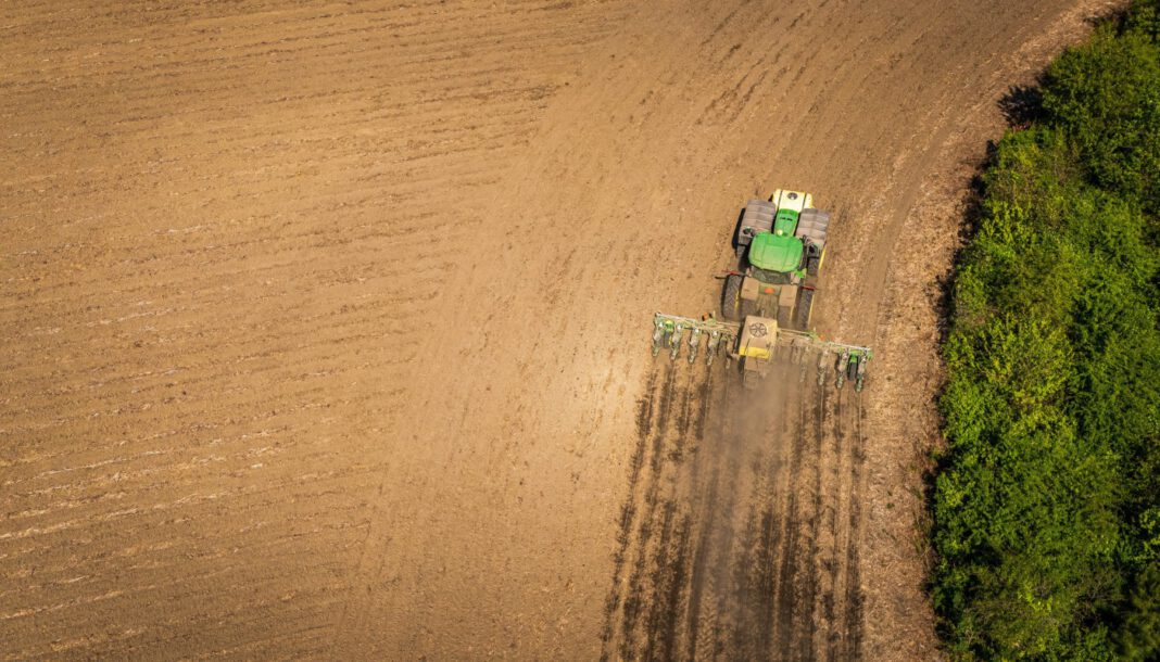 Aussaat für Ernte 2026 bleibt stabil: Wintergetreidefläche bei 5,0 Millionen Hektar