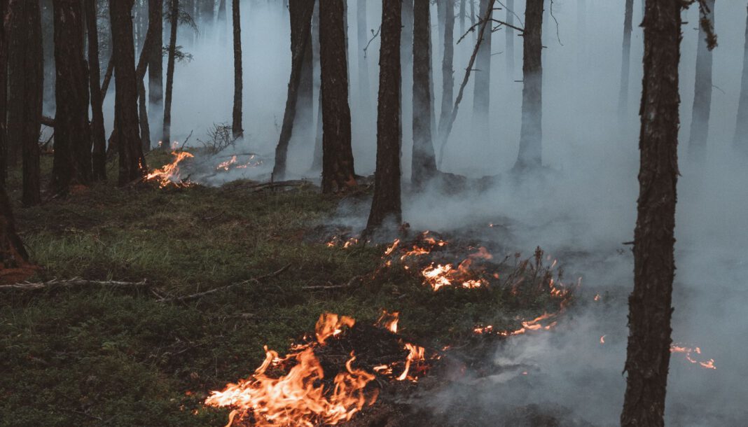 Nach mehreren Flächenbränden: Landkreis Fulda erwartet steigende Waldbrandgefahr