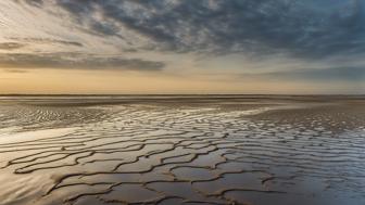 Sand-Schlammbank: Alles, was du über diese einzigartige Landschaft wissen musst